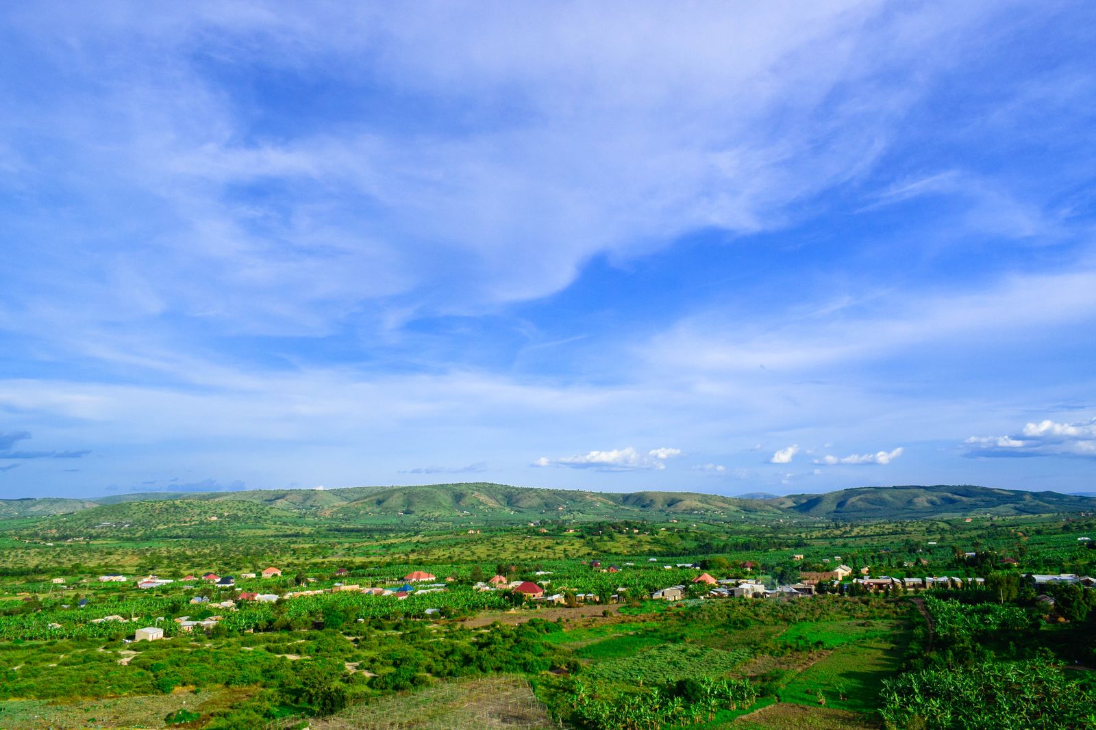 Serviced Estate Plot in Kira Heights