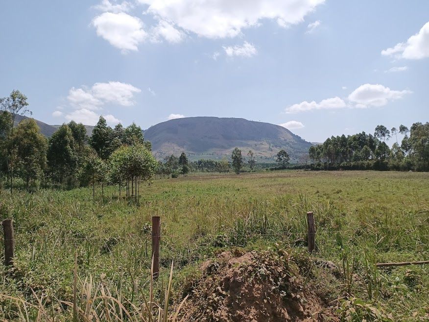 10 Acres Agricultural Land in Luwero